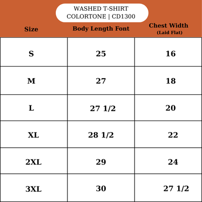 Demon Slayerr Double-Sided Unisex Washed Tee – Anime Tomioka Giyuu Shirt ANIME HUB
